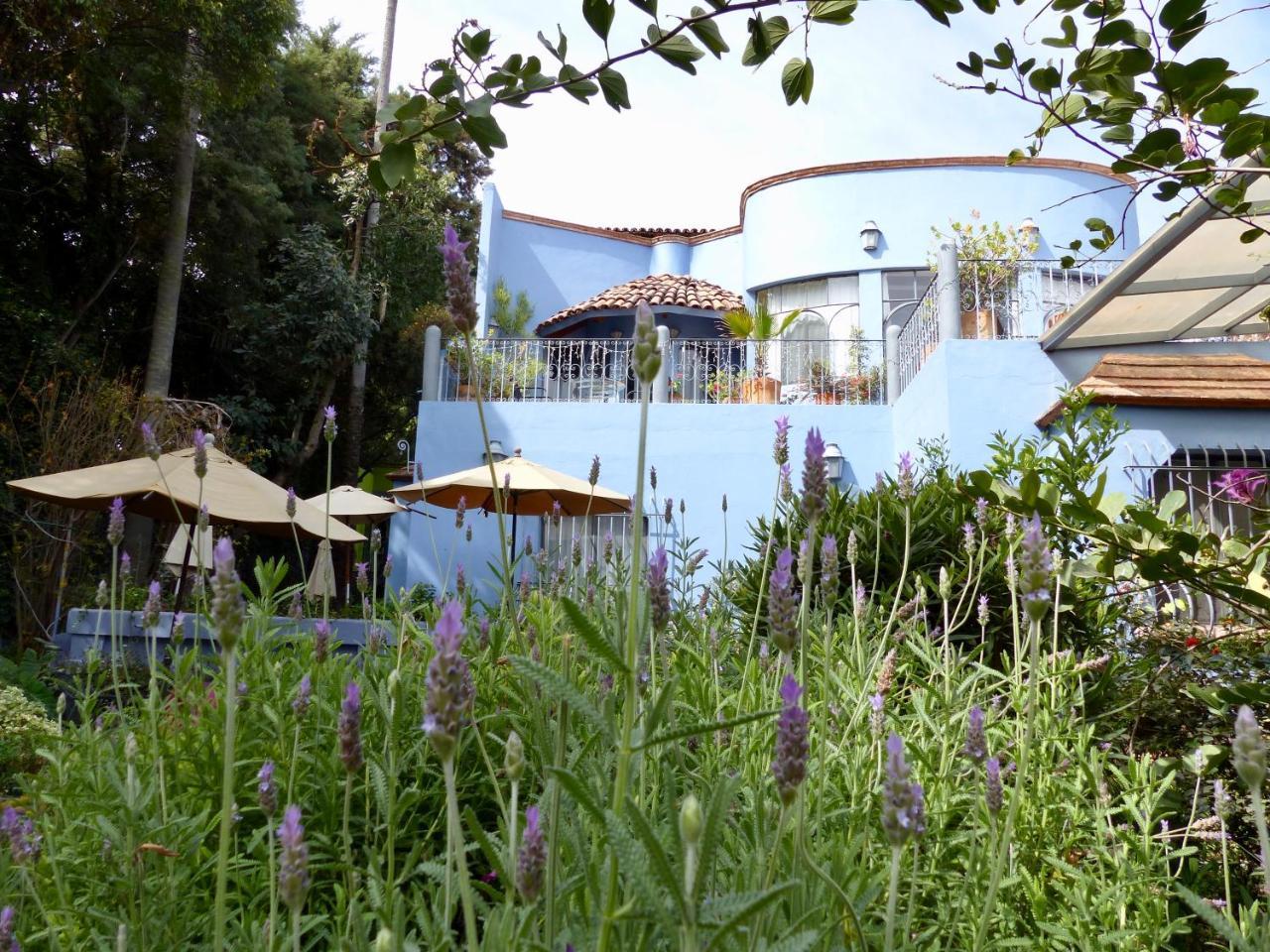 Casa Carly Hotel San Miguel de Allende Eksteriør billede