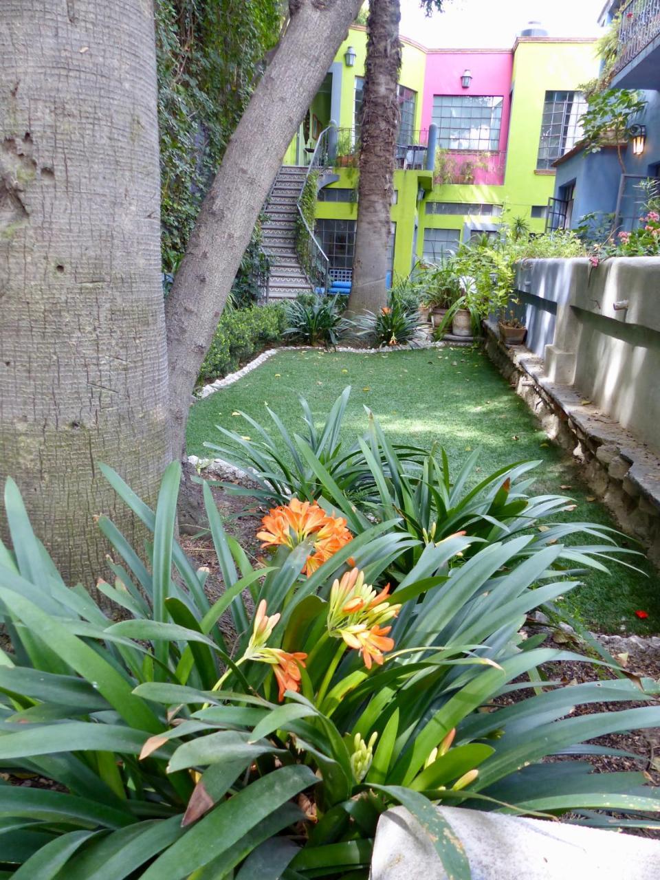 Casa Carly Hotel San Miguel de Allende Eksteriør billede
